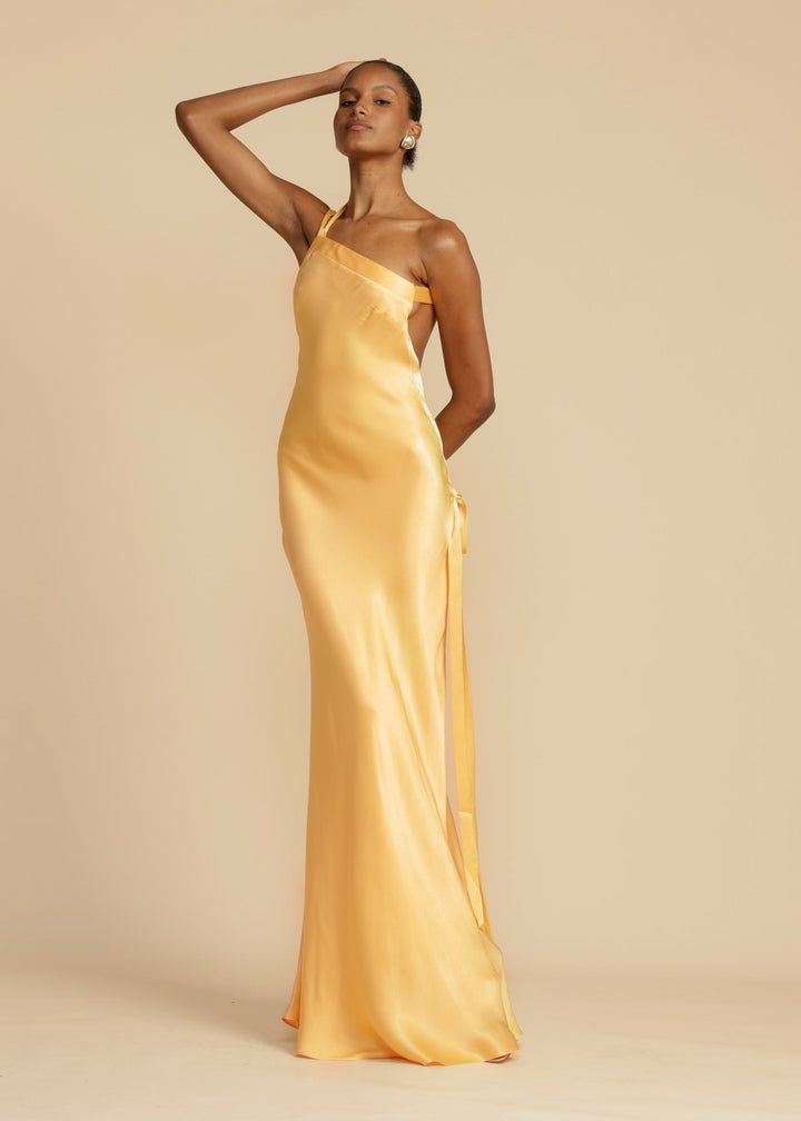 JOANIE | ELEGANT LONG DRESS