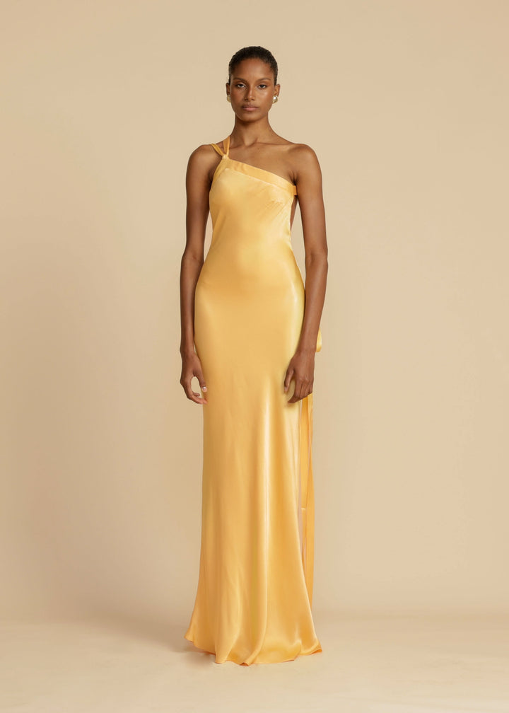 JOANIE | ELEGANT LONG DRESS